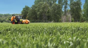 Céréales: la plus faible utilisation de fongicide depuis 15 ans!