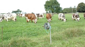 S’adapter au changement climatique sans compromettre sa rentabilité