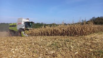 Modulation de dose en maïs: dans les Landes, la cuma des 3 sols se lance