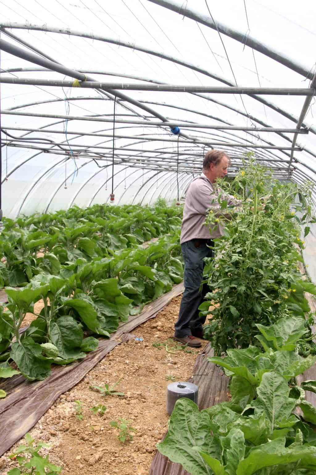 circuits court en cuma, exemple cuma de caunes minervois