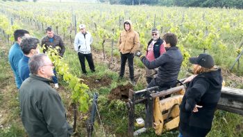 Progresser en groupe pour s’adapter au climat et au sol