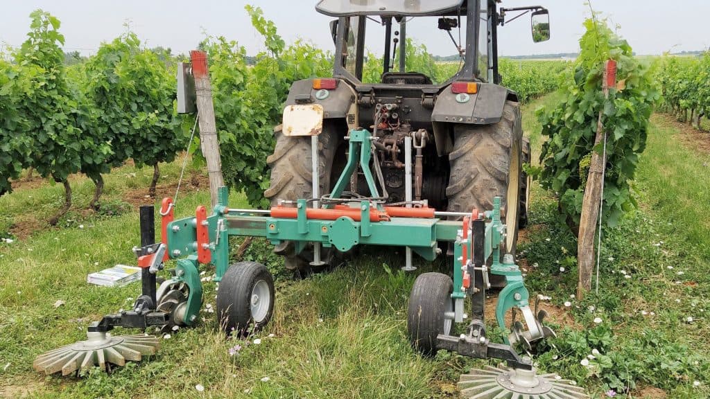désherbage mécanique en viticulture