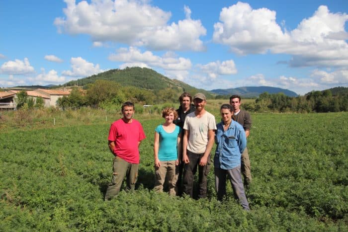 Illustrer les dynamiques collectives d'agriculteurs pour l'alimentation en circuits courts solidaires.