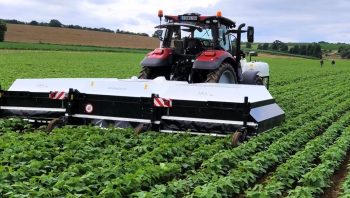 Désherbage réussi avec 70% d’herbicides en moins