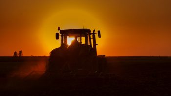 A quelles marques de tracteur les cuma sont-elles fidèles?