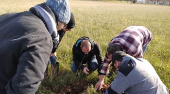 Formation vie du sol: on en sort gagnant