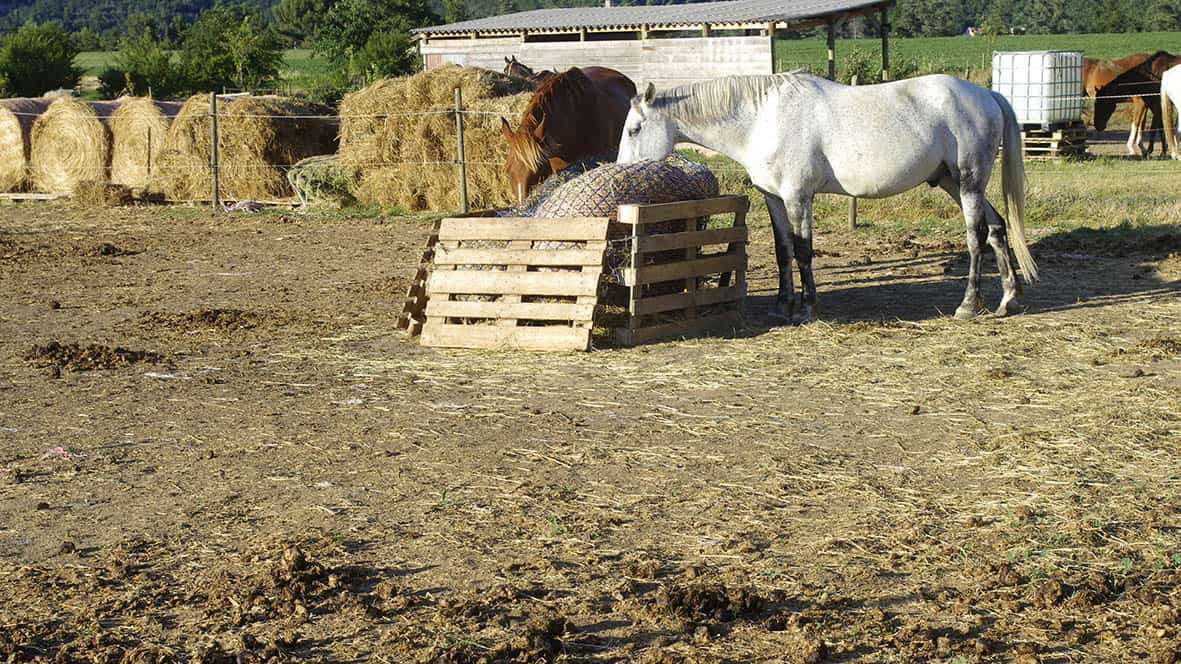 valorisation compost de fumier de cheval