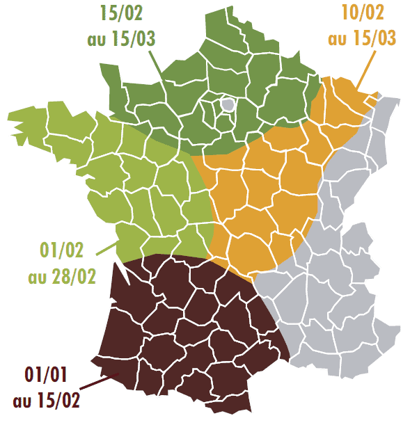 Conseil des dates de semis de la féverole de printemps