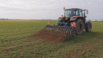 Un partenariat pour le développement de l’agriculture biologique