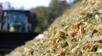 Les mycotoxines: un risque à gérer en élevage bovin