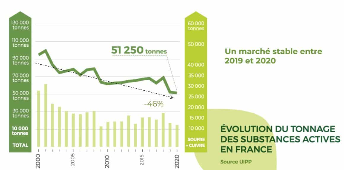 nouveau nom uipp phyteis volume