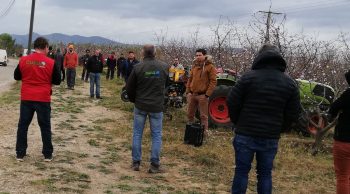 Arboriculture: le sol se travaille aussi