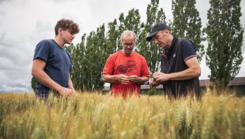 Zone de turbulence pour l’économie agricole