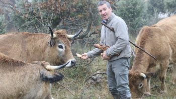 Valoriser la viande grâce à la cuma