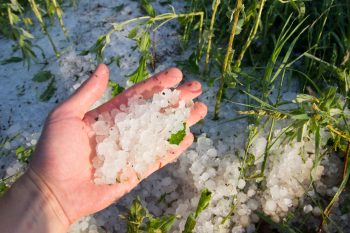 Agriculteurs : Comment s’adapter au changement climatique ?