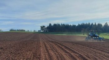 La betterave fourragère prend racine dans le Cantal