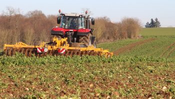 Qui se sent motivé pour se passer du glyphosate?