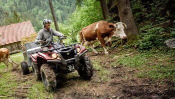 Le contrôle technique obligatoire pour les quads?