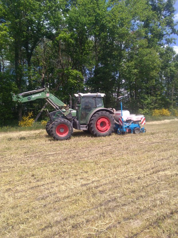 Après la récolte de l'herbe, des difficultés apparaissent pour les semis de maïs