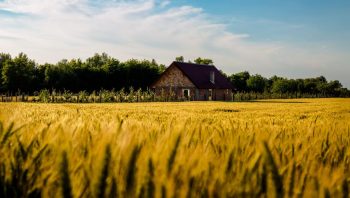 Une pause du prix des terres à 6.000€/ha