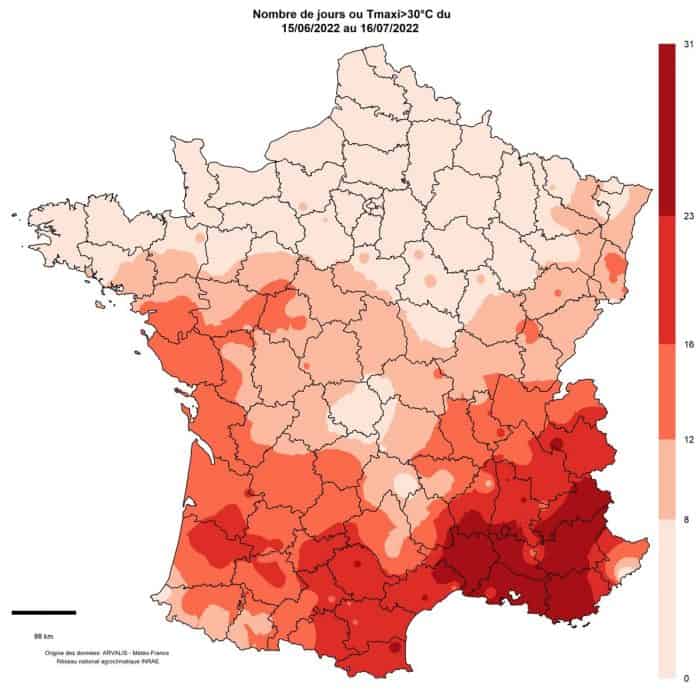 températures et ensilages de maïs 2022