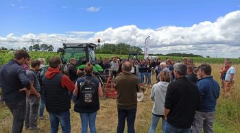 La vigne dispose d’un large choix