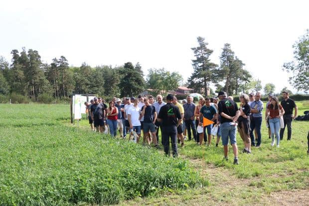 Une conduite des prairies différente pour s'adapter au changement climatique