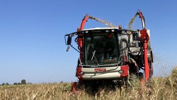 Une ensileuse très spéciale, 280ch pour 2 rangs