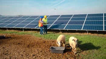 Par définition, qu’est-ce que l’agrivoltaïsme?