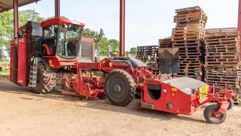 140€/ha pour l’arrachage des betteraves fourragères