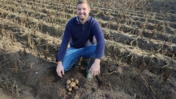 Pommes de terre: trop sec, trop chaud pendant toute la saison