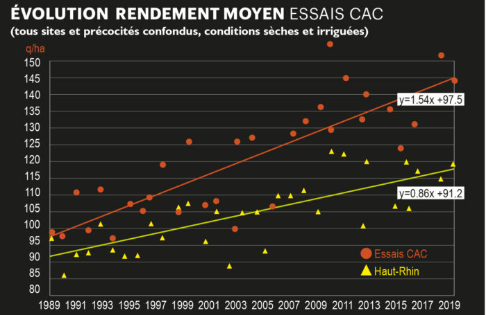 évolution des rendements de maïs