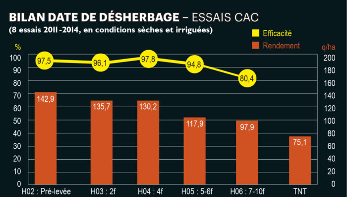 rendements en maïs