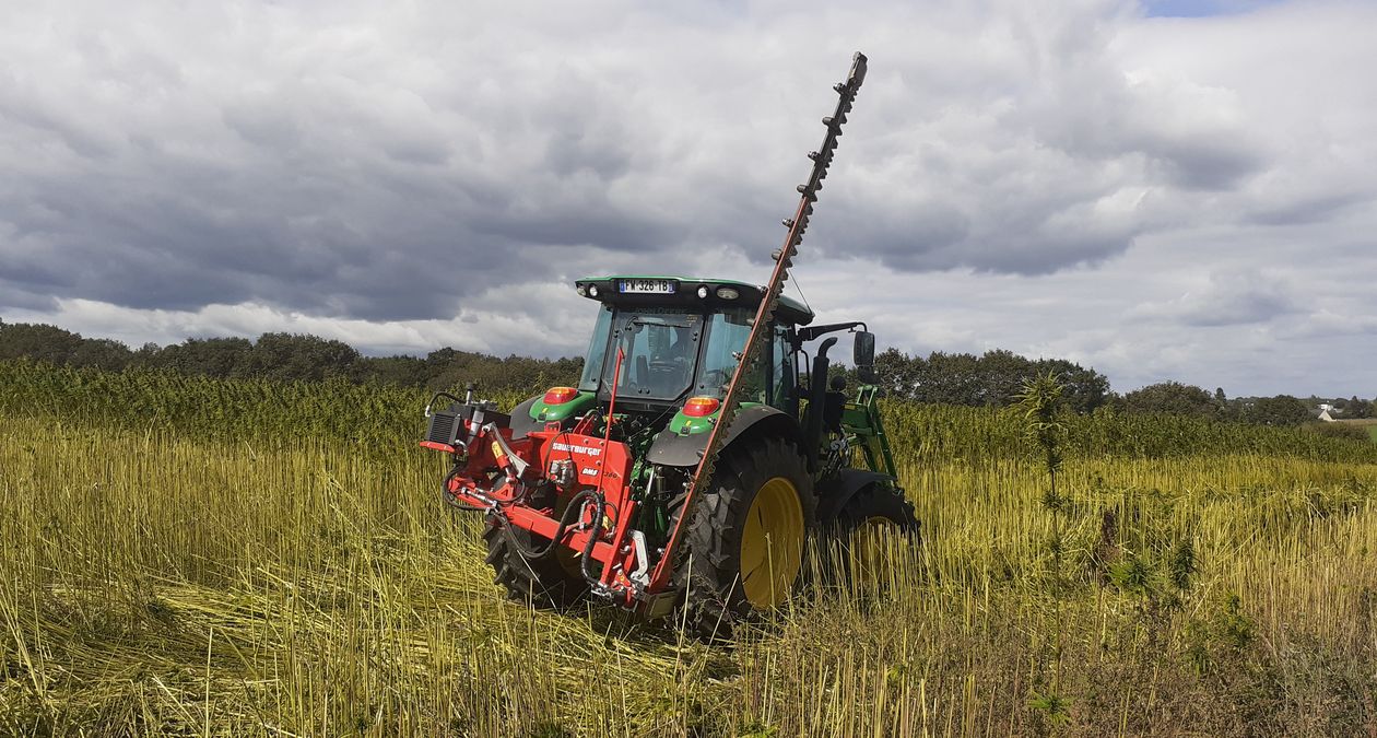 La faucheuse à sections fait désormais partie des matériels de récolte du chanvre en cuma