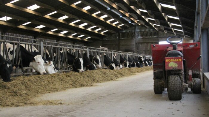 L’élevage laitier mise sur ses conditions de travail