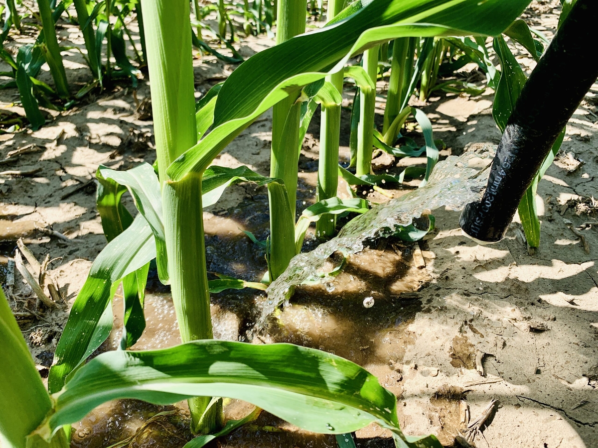 robot irrigation 360 Rain