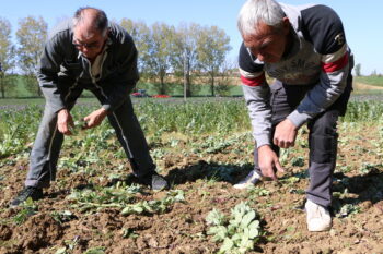 Climat : « nous ne sommes plus dans l’obligation de moyens mais de résultats »