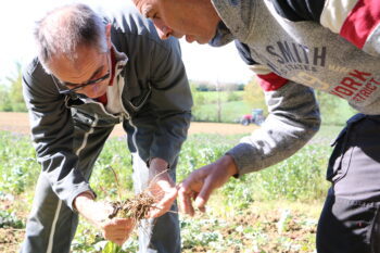 Stocker du carbone ? Trois experts vous répondent