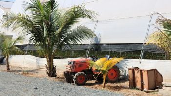 Les chiffres clés de l’agriculture indienne