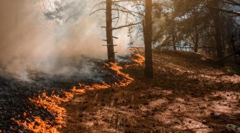 Que signifie le dernier rapport du Giec pour les agriculteurs ?