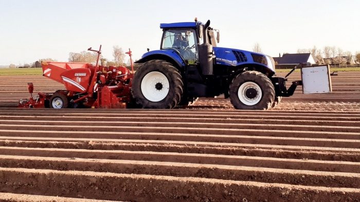 La cuma est équipée pour la plantation de pomme de terre.