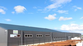 Grand bâtiment photovoltaïque : nouvelle période pour candidater