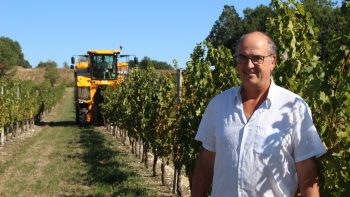 Dordogne : des vendanges calées « au millimètre » à la cuma du Besajou