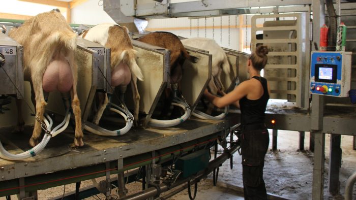 Les salaires agricoles doivent être à la hauteur des attentes du salarié.