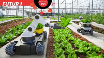 Futur 1 : La nourriture aux industriels, l’environnement aux agriculteurs