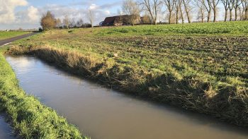 Accumuler l’eau dans un sol sableux, un vrai défi à relever !