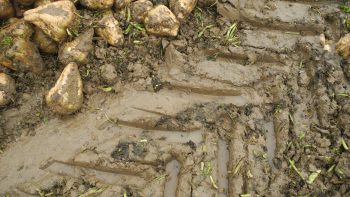  » On compacte les sols dès qu’on entre dans la parcelle « 