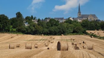 Parts de marché des presses à balles rondes : l’Irlande sort de la mêlée