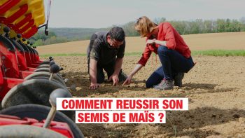 Maïs, ne pas se louper au semis !