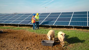 Comment vendre son énergie sans intermédiaires ?